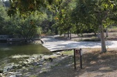 Enlarge photo 45