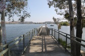 Enlarge photo 48