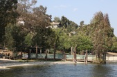 Enlarge photo 57