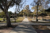 Enlarge photo 62