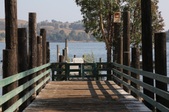 Enlarge photo 66