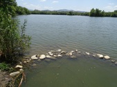 Enlarge photo 7