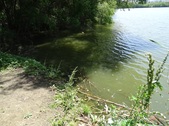 Enlarge photo 12
