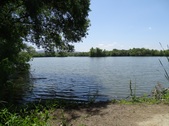 Enlarge photo 13