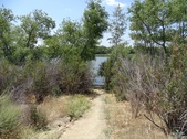 Enlarge photo 18