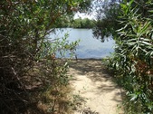 Enlarge photo 19