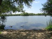 Enlarge photo 20
