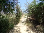 Enlarge photo 24