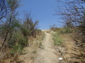 Enlarge photo 25
