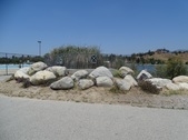 Enlarge photo 31