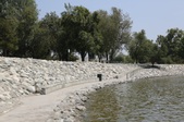 Enlarge photo 28