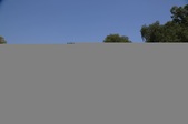 Enlarge photo 63