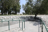 Enlarge photo 35