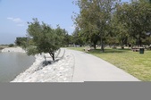 Enlarge photo 64