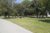 Enlarge photo 40