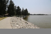 Enlarge photo 65