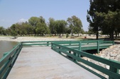 Enlarge photo 52