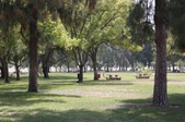 Enlarge photo 54