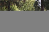 Enlarge photo 66
