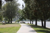 Enlarge photo 56