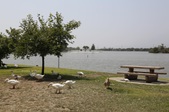Enlarge photo 59