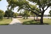 Enlarge photo 67