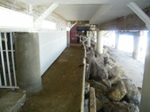 Enlarge photo 46