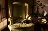 Enlarge photo 29