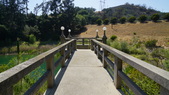 Enlarge photo 44