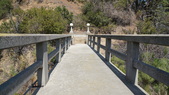 Enlarge photo 45