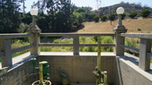 Enlarge photo 46