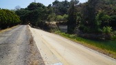 Enlarge photo 52