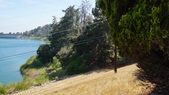 Enlarge photo 60
