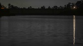 Enlarge photo 54