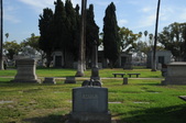 Enlarge photo 37