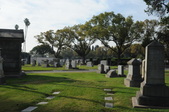 Enlarge photo 39