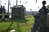 Enlarge photo 41