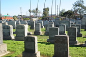 Enlarge photo 46
