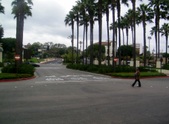 Enlarge photo 51