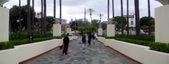 Enlarge photo 61