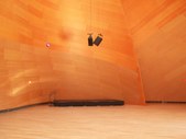DISNEY HALL