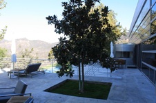 Enlarge photo 54