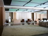 THE ANNEX