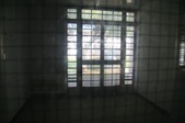 Enlarge photo 63