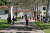 Enlarge photo 138