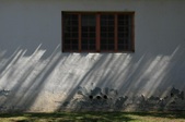 Enlarge photo 151