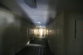 Enlarge photo 155