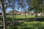 Enlarge photo 143