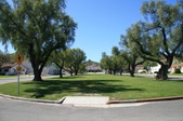 Enlarge photo 178