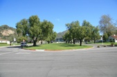 Enlarge photo 175